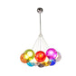 Lustre Coloré <br> Varieta