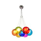 Lustre Coloré <br> Varieta