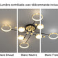 Plafonnier Lustre <br> Plafoniero