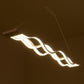 Lustre Metal <br> Disperso